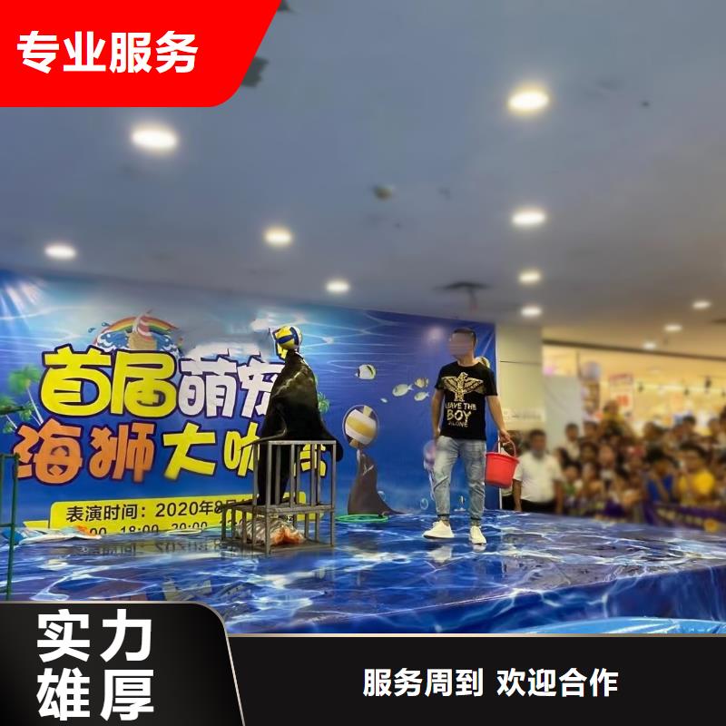 海洋主题动物表演吉祥百鸟展价格公道