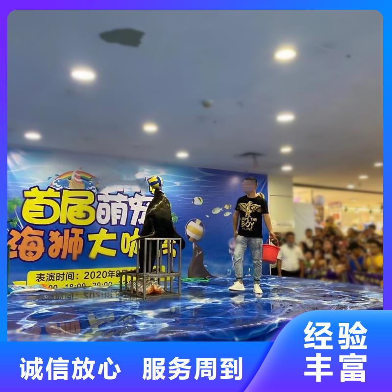 海洋主题动物表演,房地产开盘庆典遵守合同