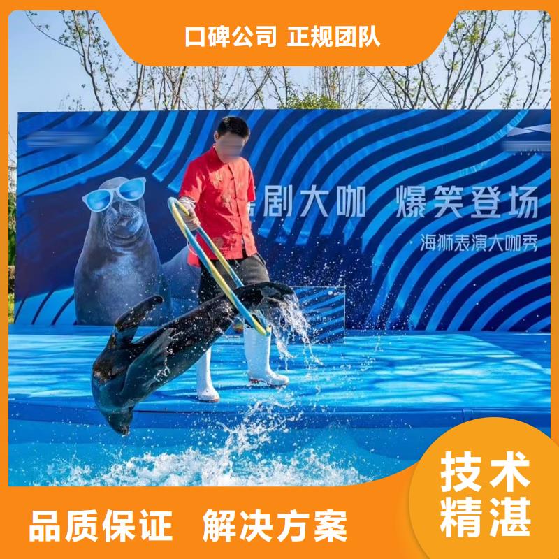 海洋主题动物表演_羊驼出租长期合作