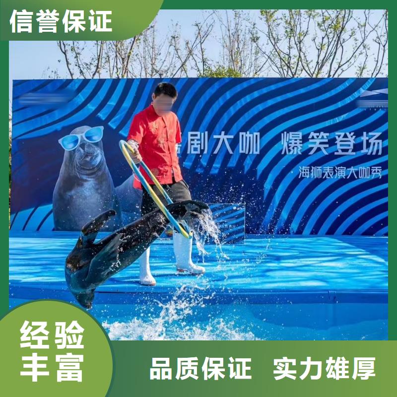 海洋主题动物表演动物表演24小时为您服务