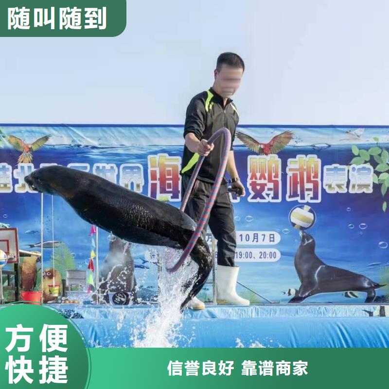 海洋主題動物表演-海洋展租賃實力商家