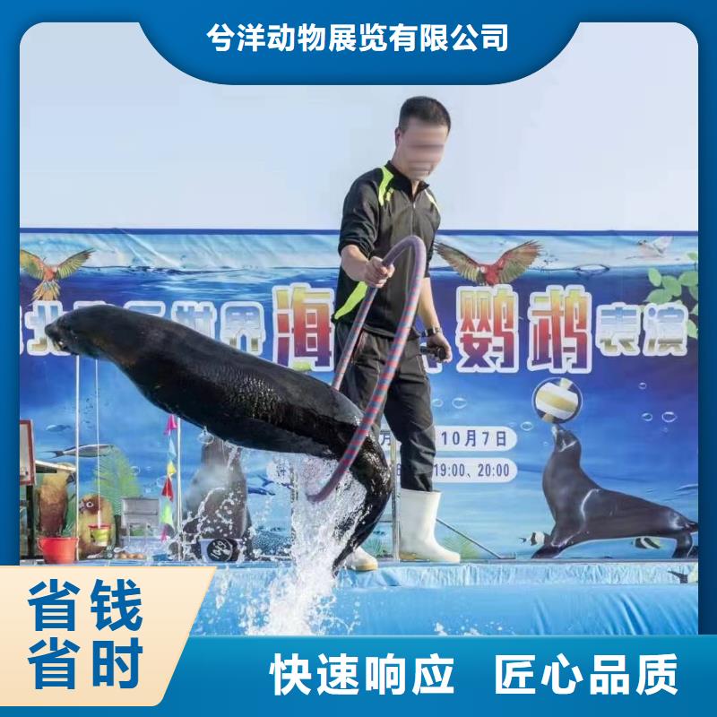 海洋主題動物表演 馬戲團出租 2025公司