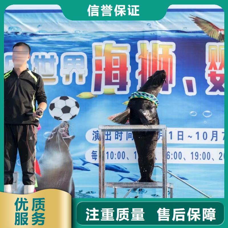 海洋主題動物表演 馬戲團出租 2025公司