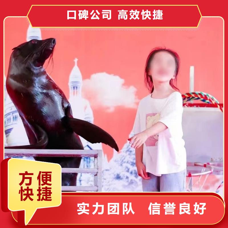 海洋主题动物表演 马戏团表演实力商家