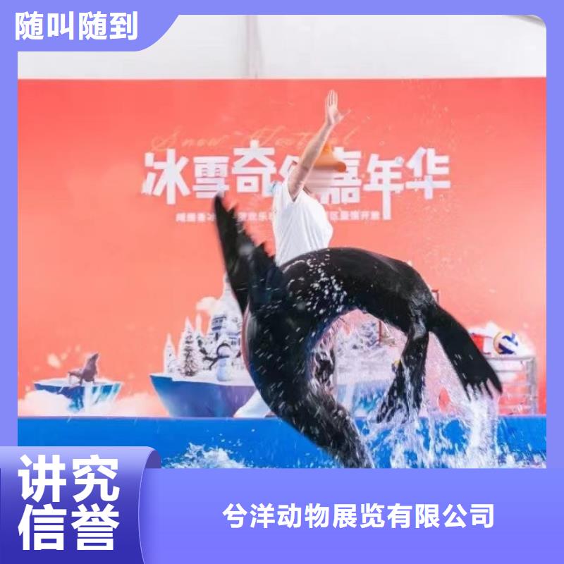 海洋主題動物表演 馬戲團出租 2025公司
