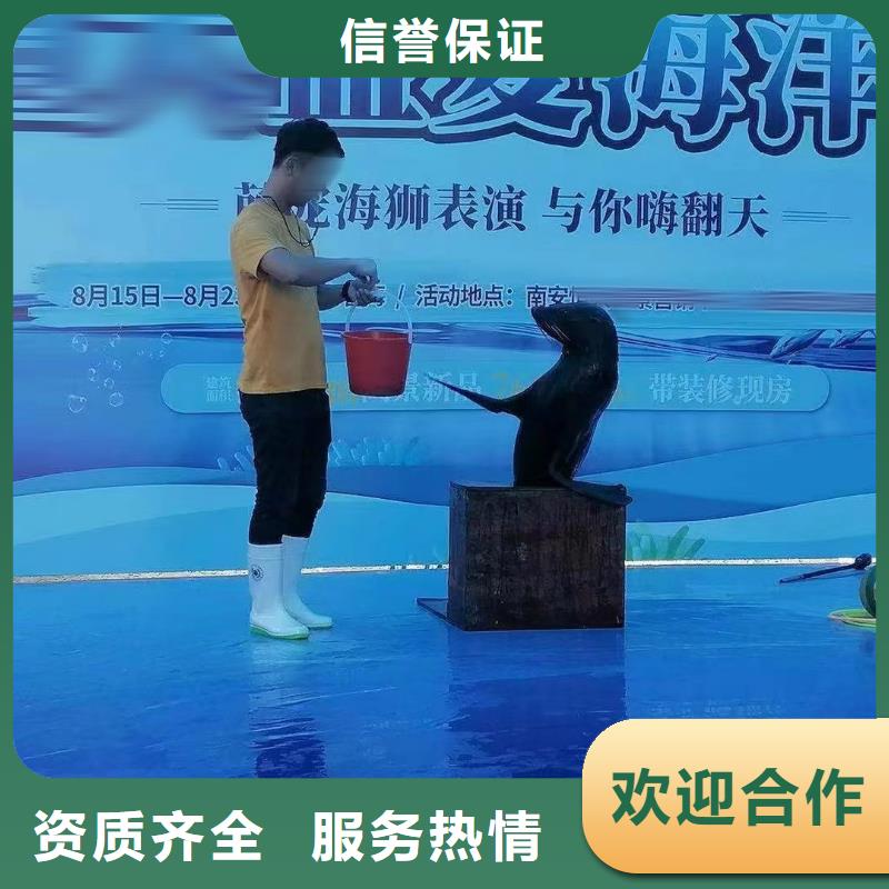 【海洋主題動物表演羊駝表演技術(shù)比較好】