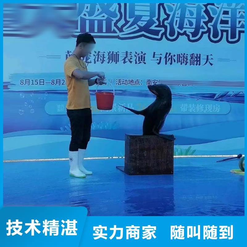 海洋主題動(dòng)物表演海獅表演租賃實(shí)力公司