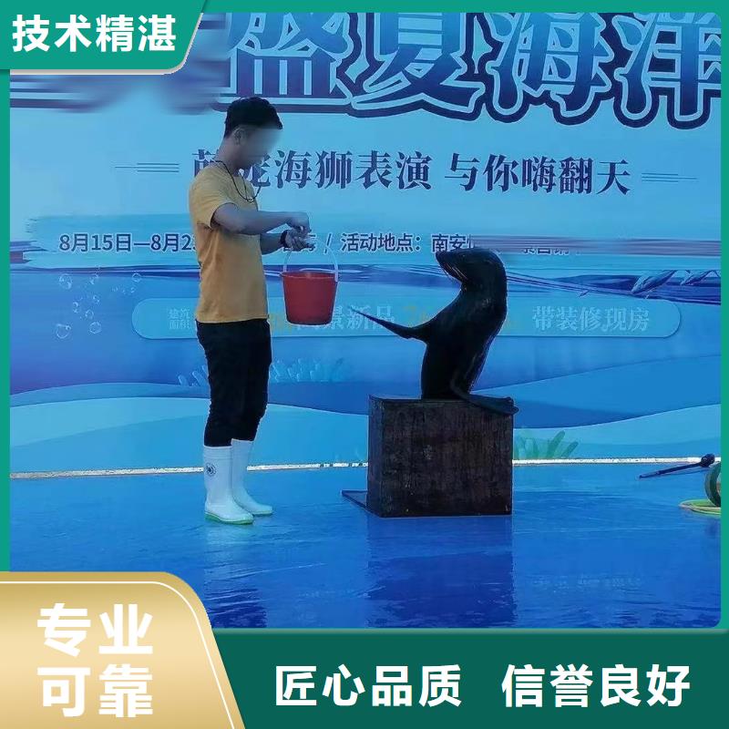 【海洋主題動物表演】馬戲團(tuán)表演比同行便宜