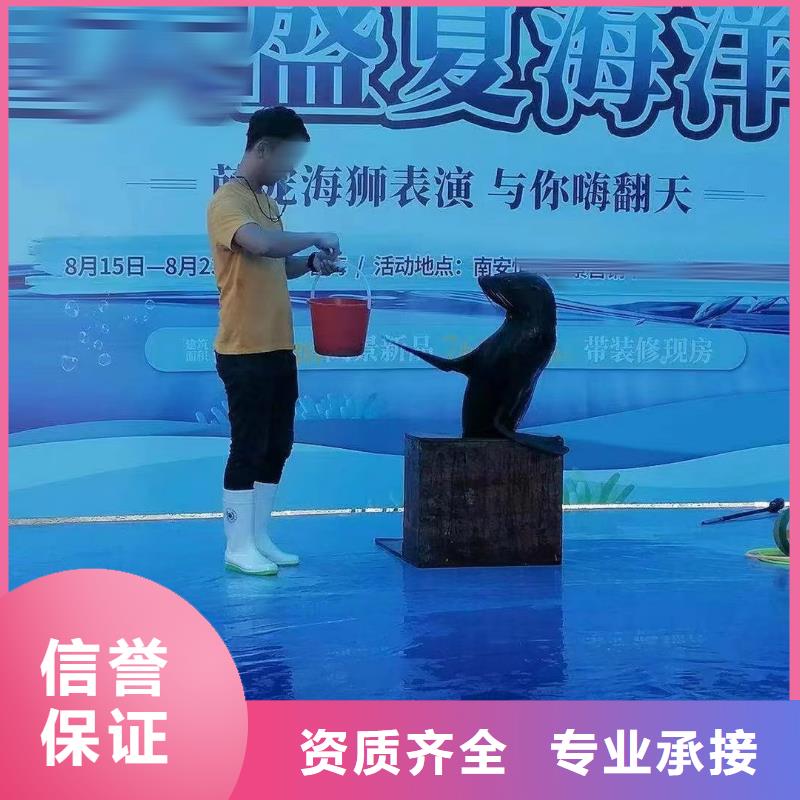 海洋主題動物表演海獅表演租賃實力公司