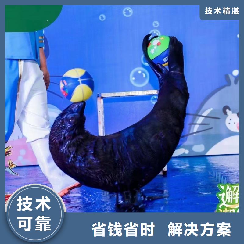 海洋主題動物表演-馬戲團表演出租放心之選