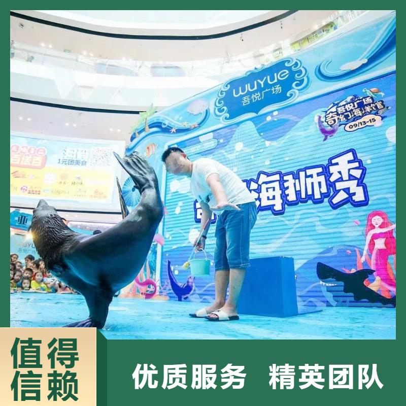 海洋主題動物表演羊駝出租放心之選