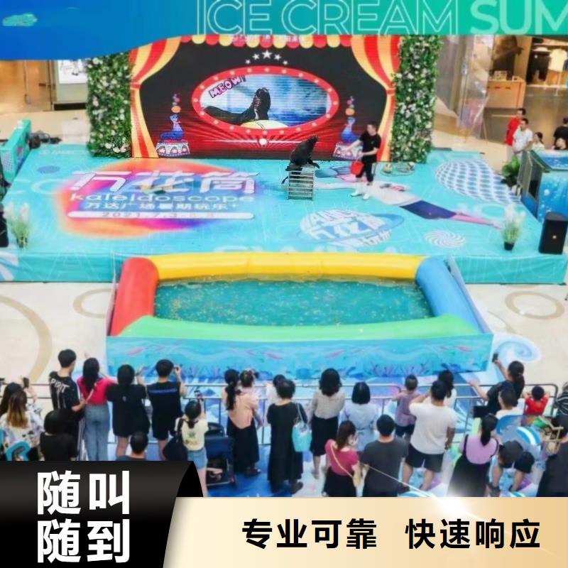 海洋主題動(dòng)物表演海獅表演租賃實(shí)力公司