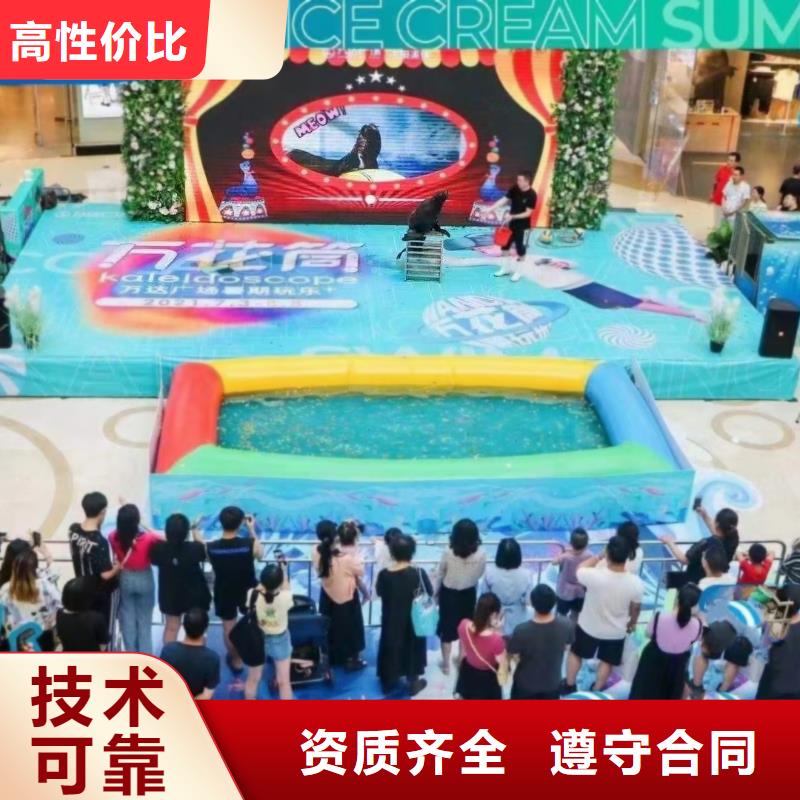 海洋主題動物表演海獅表演租賃實力公司