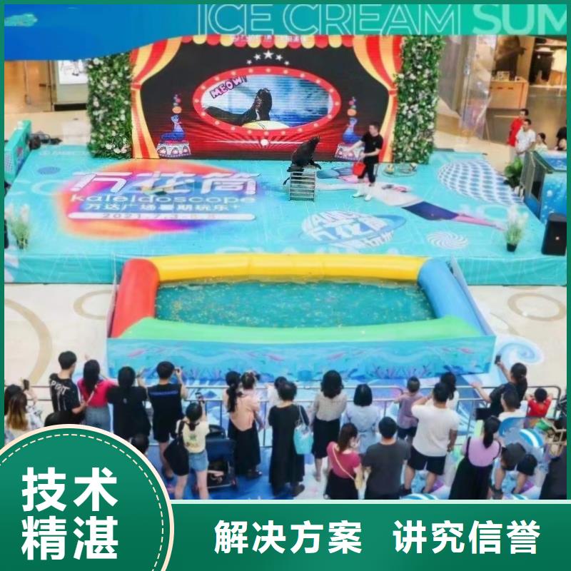 海洋主題動物表演羊駝出租放心之選