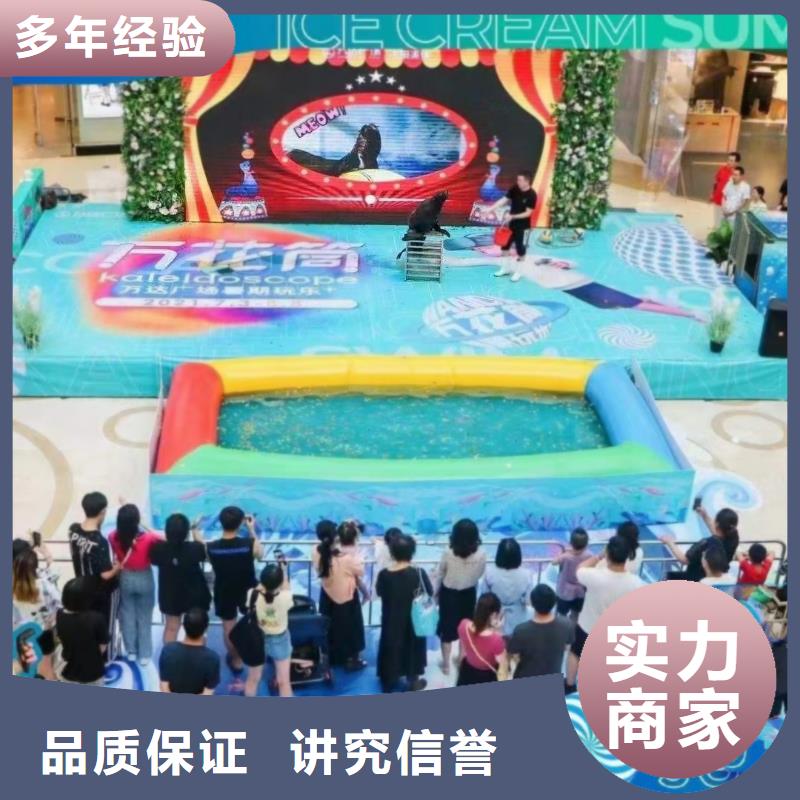 海洋主題動物表演雜技表演租賃服務(wù)先進(jìn)的技術(shù)