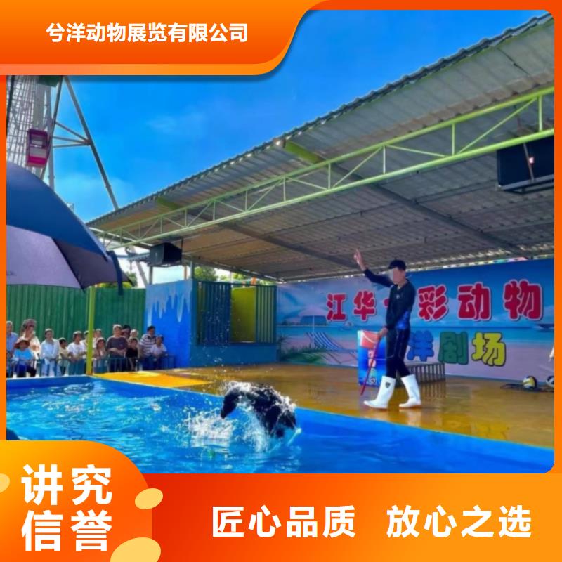 海洋主題動物表演鸚鵡表演齊全