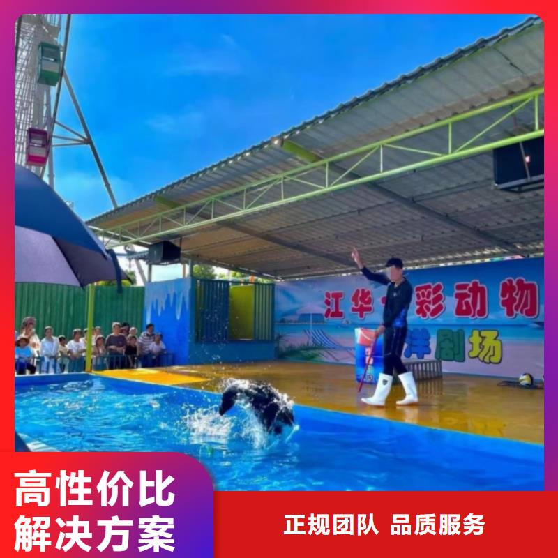 海洋主題動物表演羊駝出租放心之選
