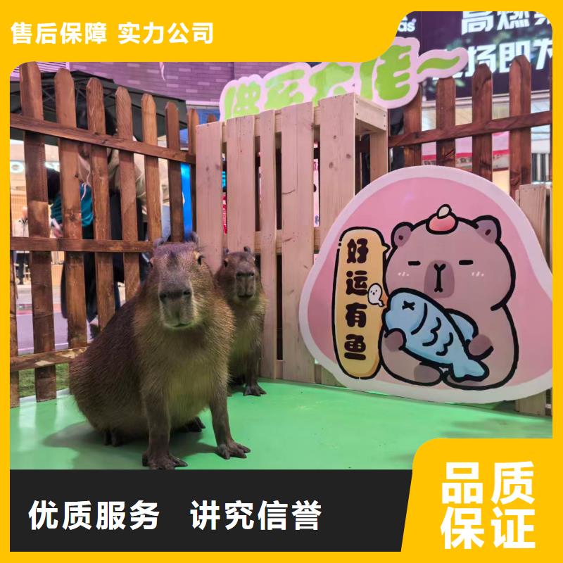 企业团建生产厂家质量过硬