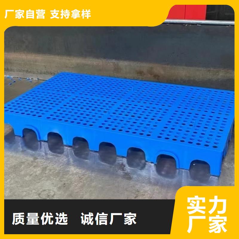 【塑料托盤(pán)】倉(cāng)庫(kù)防潮塑料棧板生產(chǎn)經(jīng)驗(yàn)豐富