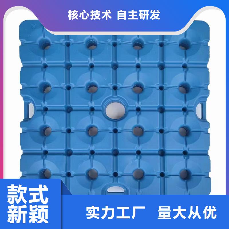 塑料托盤大容量蔬菜塑料筐拒絕中間商