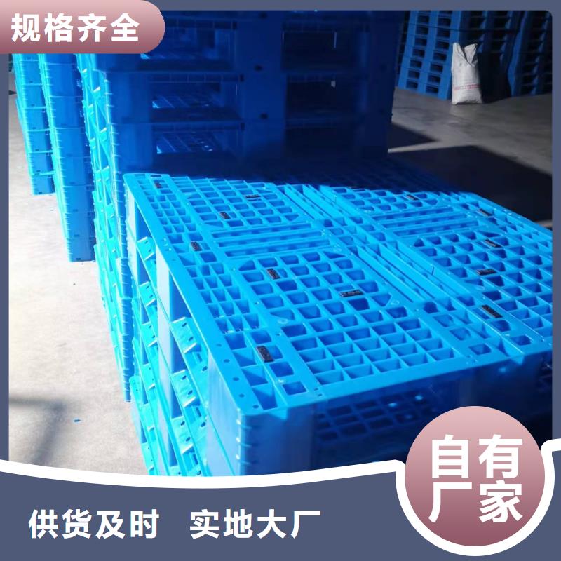 塑料托盘蓝色塑料田字卡板工厂直销