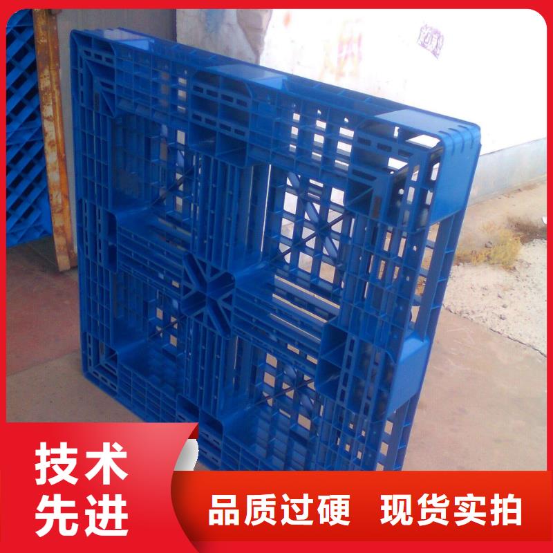 塑料托盤叉?zhèn)}儲(chǔ)塑料托盤可接急單