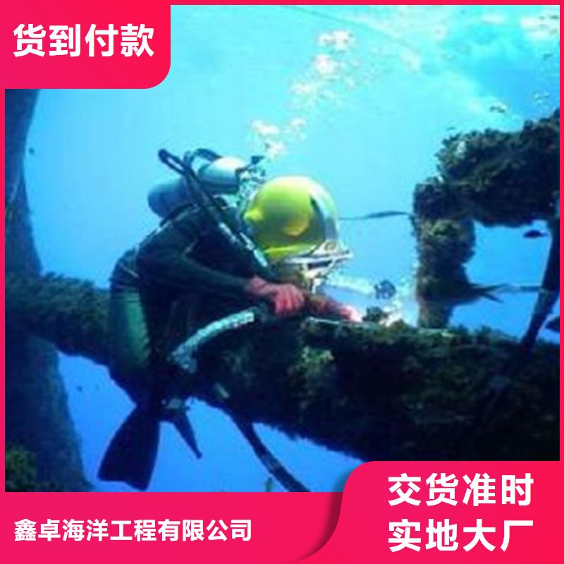 #潛水錄像#供應(yīng)商