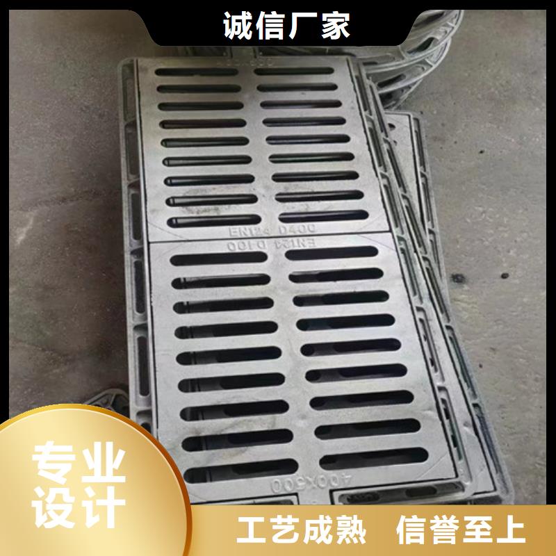 检查井球墨铸铁爬梯厂家报价