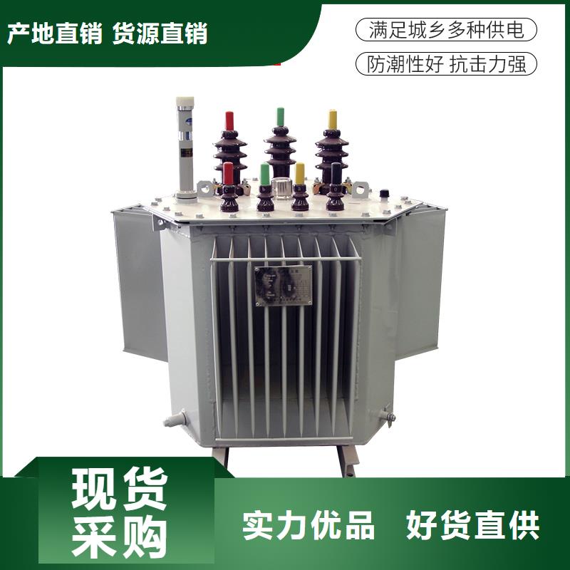 油浸式变压器SCB14二级能效干式变压器定制定做