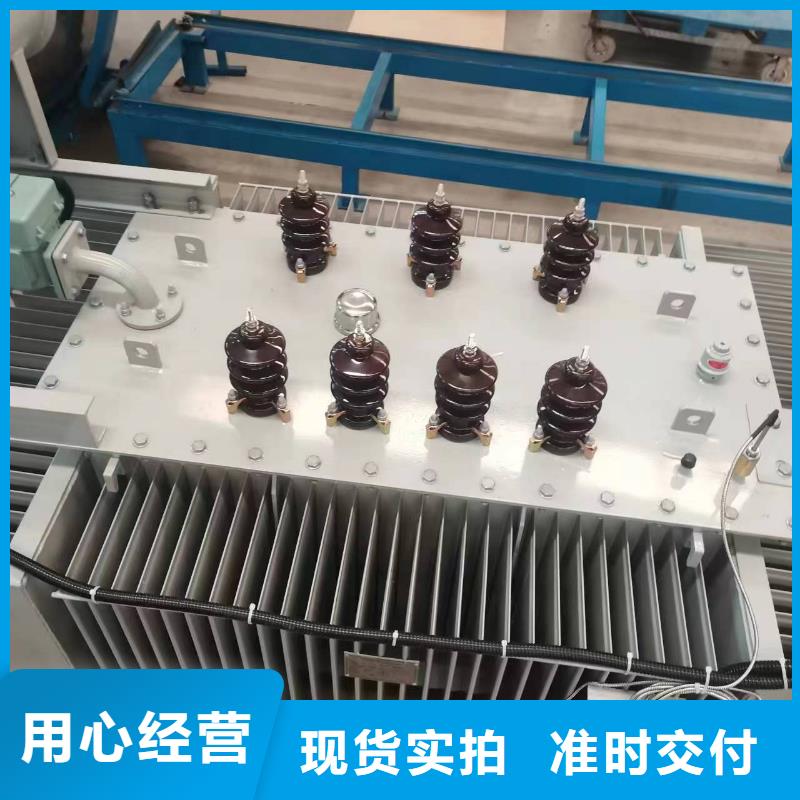 油浸式變壓器-變壓器廠家廠家工藝先進