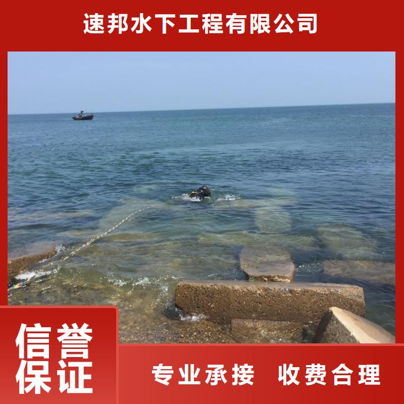 水下安装更换拦污栅