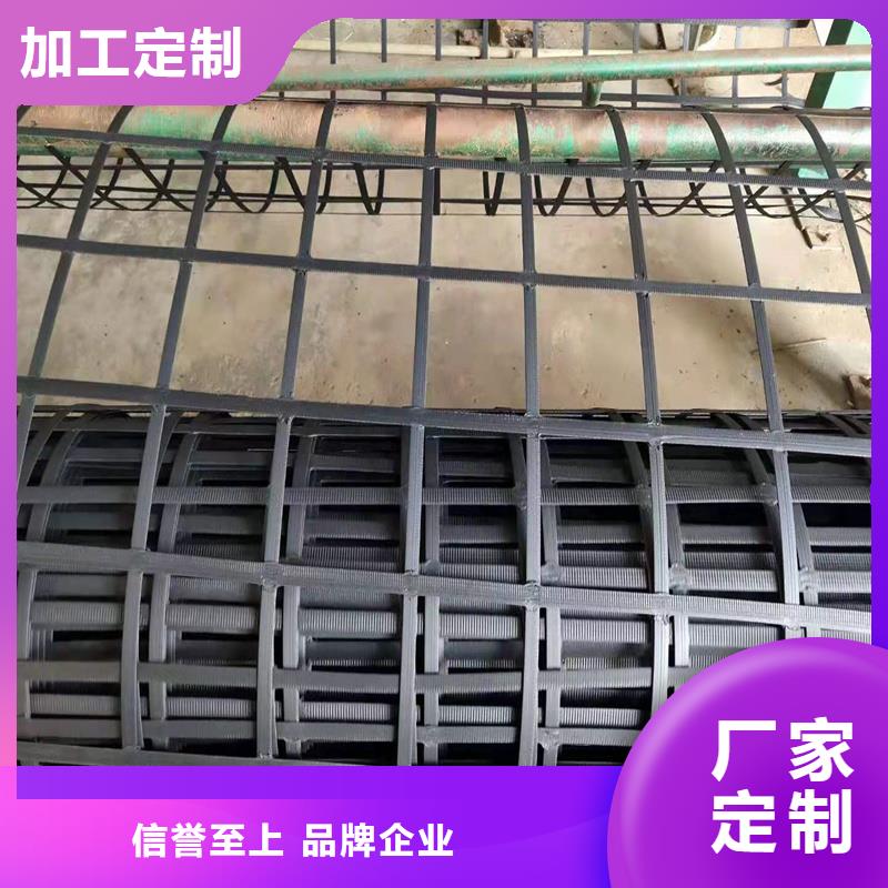 塑料土工格柵價格