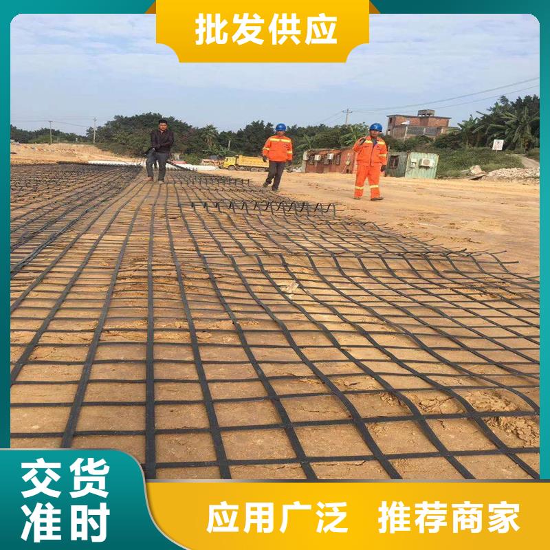 土工格柵玻纖土工格柵多年行業(yè)積累
