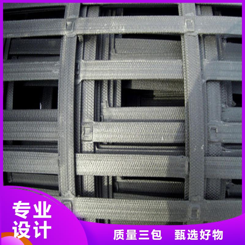 塑料土工格栅本地厂家