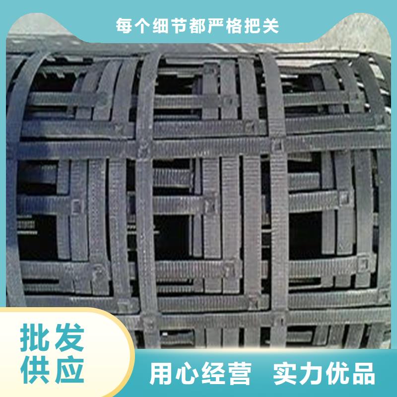 鋼塑格柵廠家直供