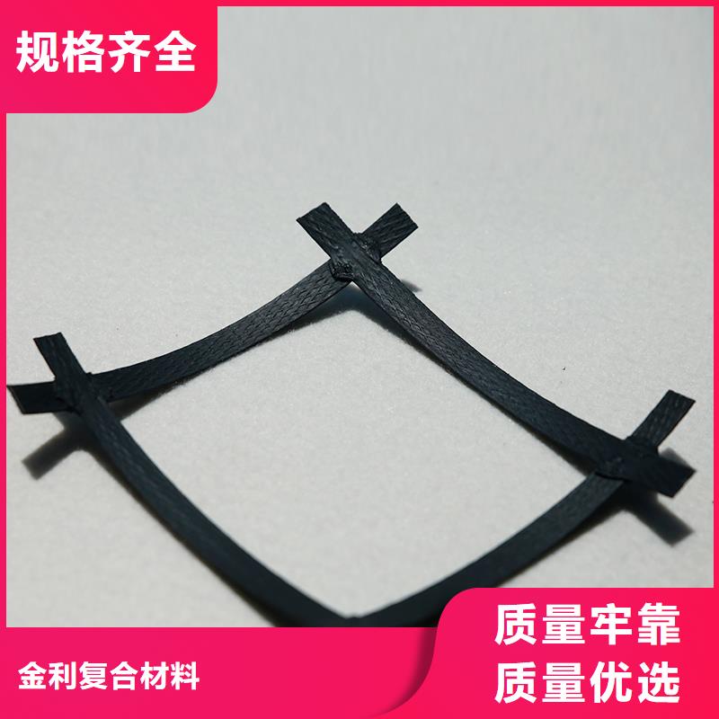 土工格柵玻纖土工格柵信譽(yù)有保證