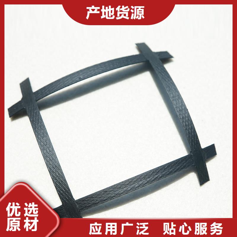 双向塑料土工格栅厂家