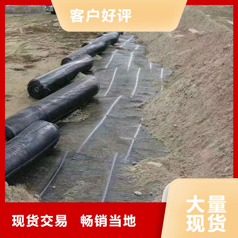 钢塑格栅实体厂家