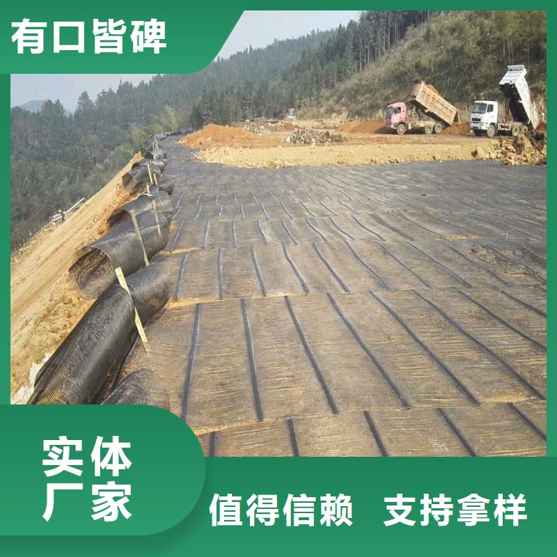 土工格柵\抗裂貼-止水帶現(xiàn)貨直發(fā)