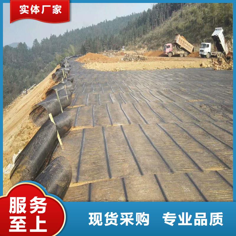 土工格栅\抗裂贴双向塑料土工格栅用心经营