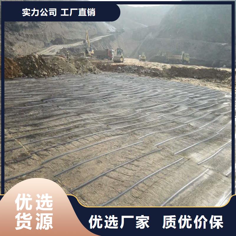 塑料土工格栅实体厂家
