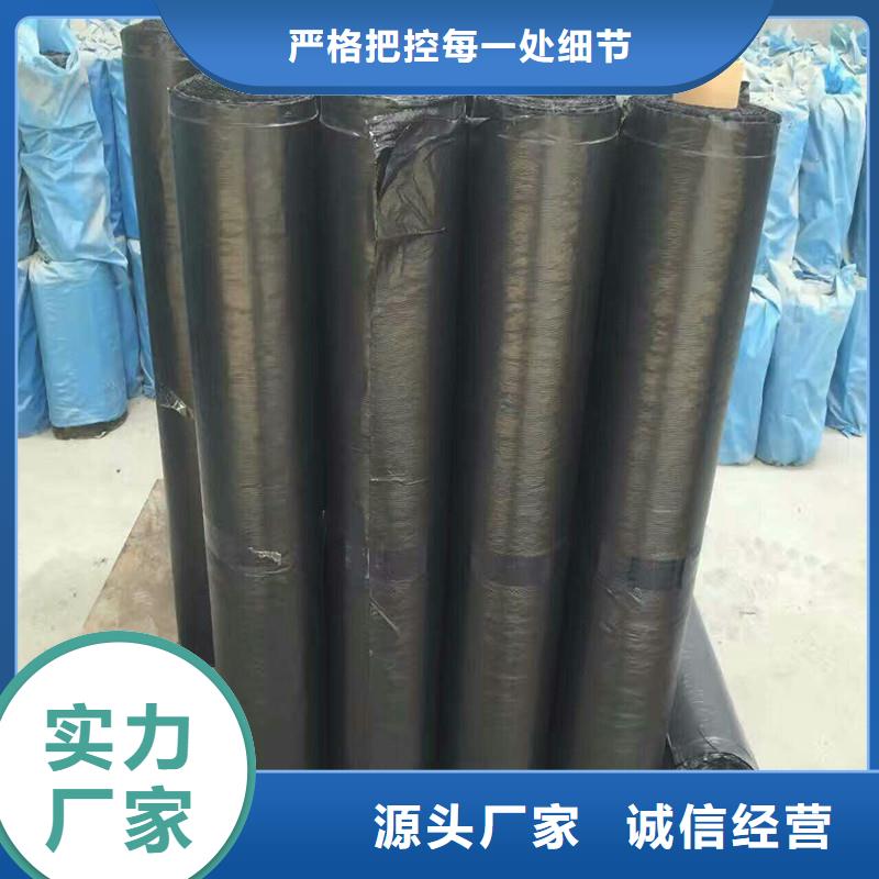 塑料拉伸土工格栅在线报价