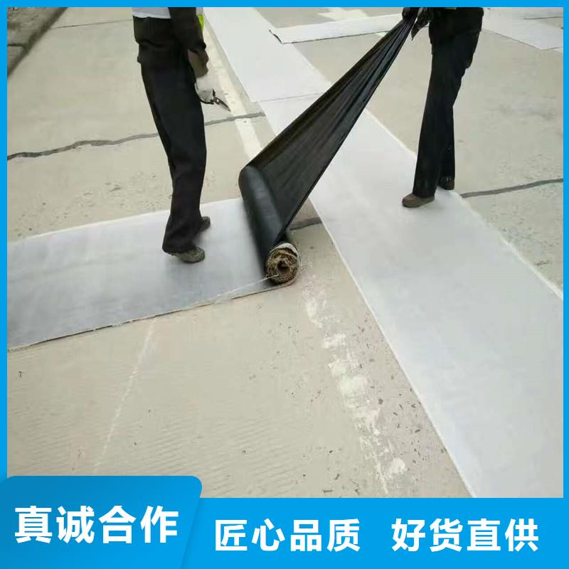 雙向塑料格柵價格