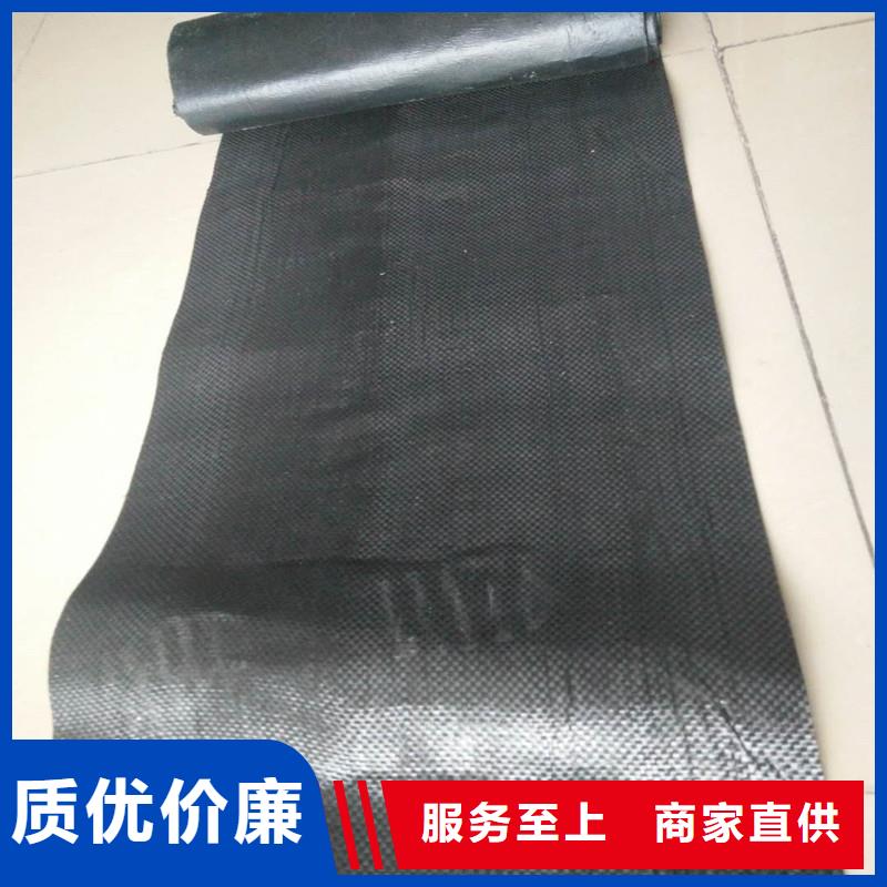 玻纖土工格柵廠家價格
