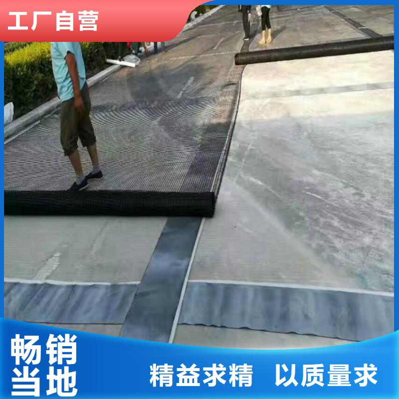 土工格栅\抗裂贴_植草格实力厂家