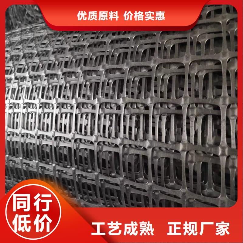 土工格栅\抗裂贴_植草格实力厂家