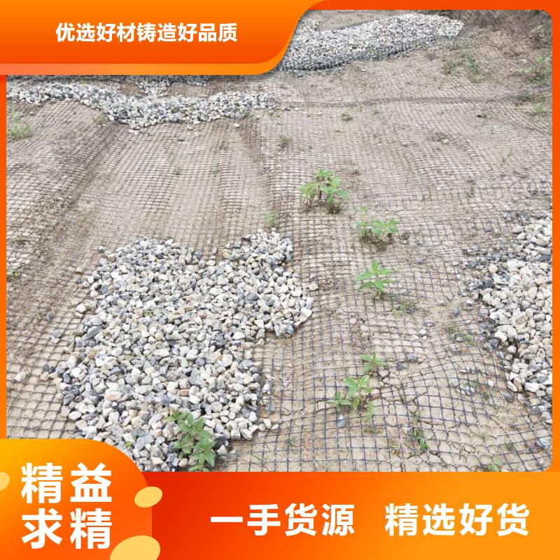 土工格柵\抗裂貼【鋼塑土工格柵】品質(zhì)值得信賴