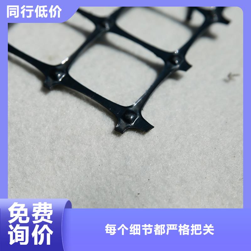 钢塑土工格栅厂家供应