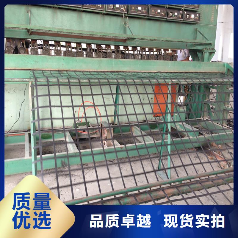 塑料土工格柵實(shí)體廠家