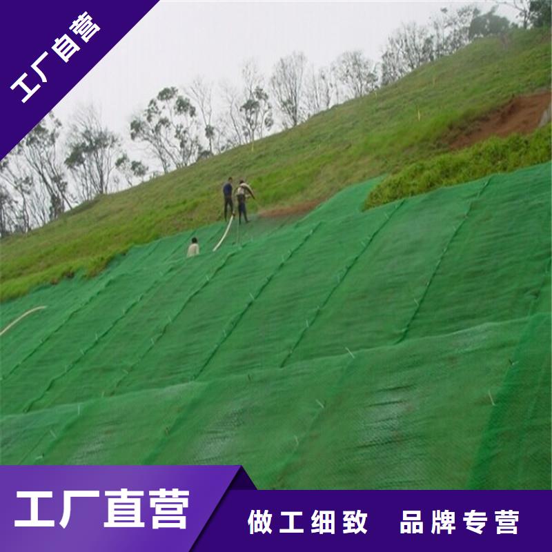 兩布一膜價格